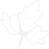 location_pattern3